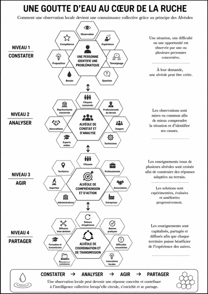 chéma d’une Alvéole nationale de coordination reliant les grands domaines de la société.