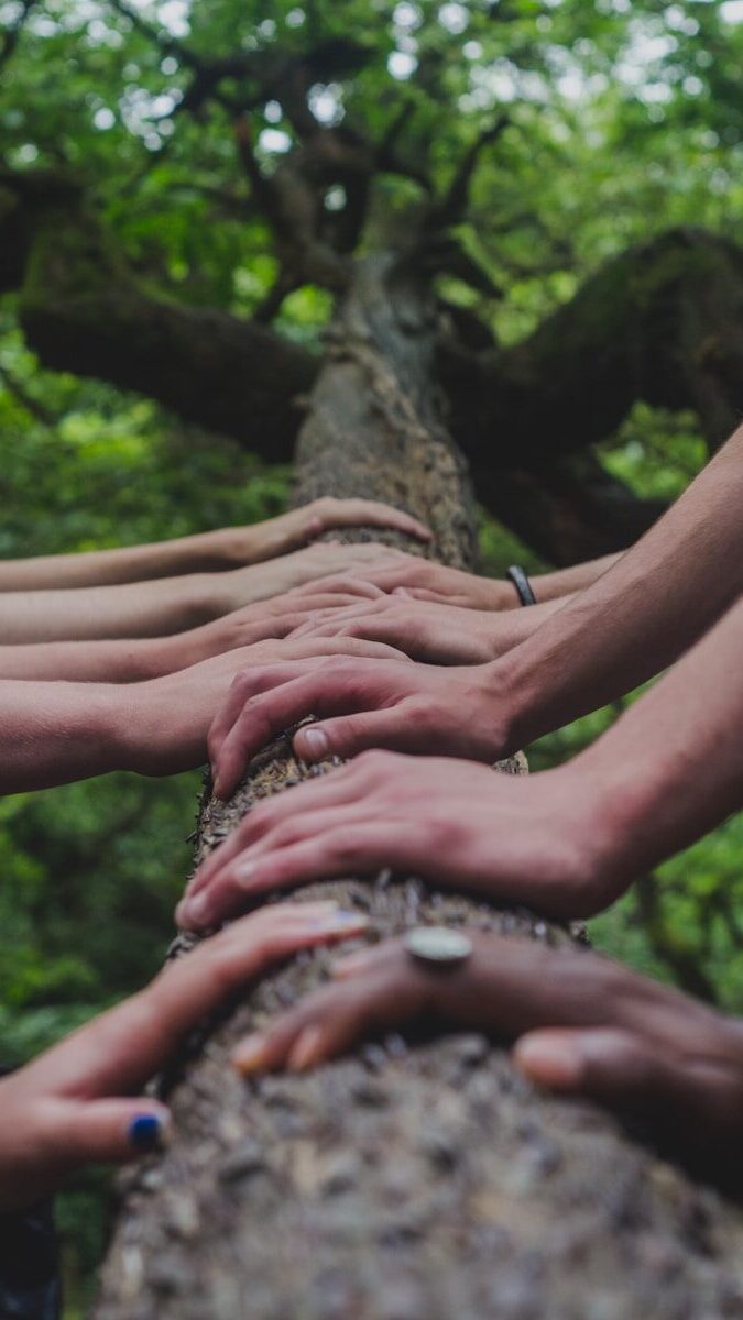 a group of people holding hands on top of a tree