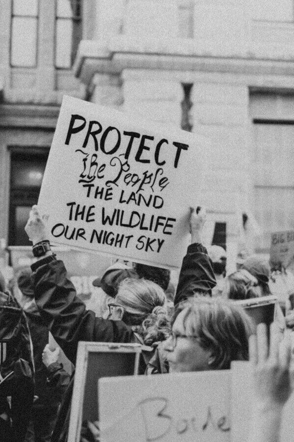 People protest holding signs about protecting land and wildlife.