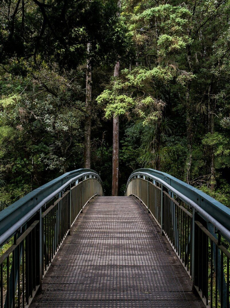 blue and brown steel bridge