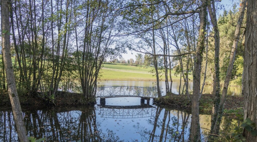 a pond surrounded by trees and a bridge
